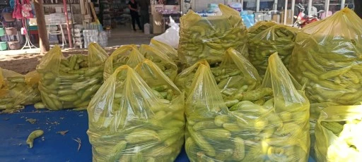 Sezonun son acurları bunlar&hellip;