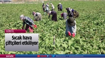 Sıcak hava &ccedil;ift&ccedil;ileri etkiliyor