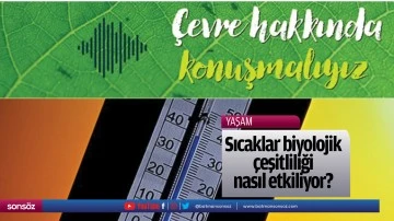Sıcaklar biyolojik &ccedil;eşitliliği nasıl etkiliyor?
