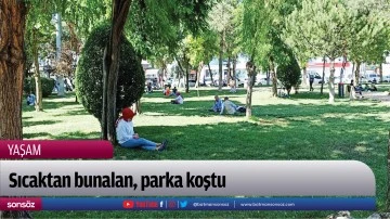 Sıcaktan bunalan, parka koştu