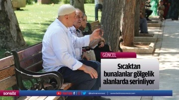 Sıcaktan bunalanlar g&ouml;lgelik alanlarda serinliyor