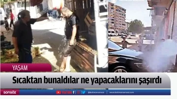 Sıcaktan bunaldılar ne yapacaklarını şaşırdı