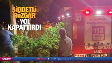 Şiddetli r&uuml;zgar yol kapattırdı