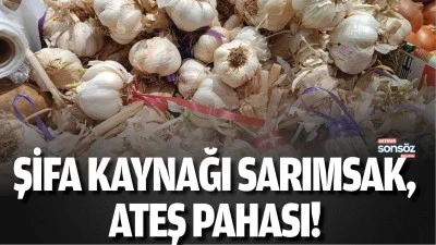 Şifa kaynağı sarımsak, ateş pahası!