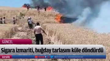 Sigara izmariti, buğday tarlasını k&uuml;le d&ouml;nd&uuml;rd&uuml;
