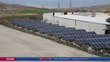 Siirt fıstığını markalaştıran tesisin enerjisi GES'ten sağlanıyor