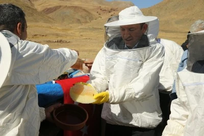 Siirt'in &Ccedil;emikari Yaylası'nda kara kovan balının hasadı yapıldı