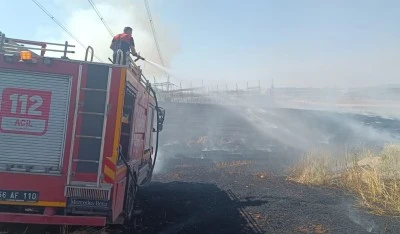 Siirt'te buğday ve arpa tarlasında &ccedil;ıkan yangın s&ouml;nd&uuml;r&uuml;ld&uuml;