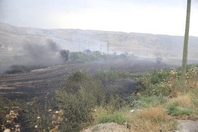 Siirt'te &ccedil;ıkan anız yangını evlere sı&ccedil;ramadan s&ouml;nd&uuml;r&uuml;ld&uuml;