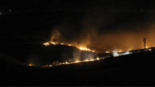 Siirt'te &ccedil;ıkan anız yangınına m&uuml;dahale ediliyor