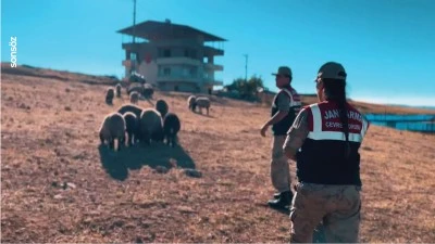 Siirt'te jandarma ekiplerinden denetim ve bilgilendirme &ccedil;alışmaları yaptı
