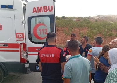 Siirt'te kamyonet ile kamyonun &ccedil;arpıştığı kazada 4 kişi yaralandı