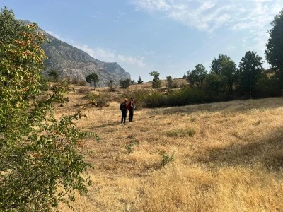 Siirt'te kaybolan zihinsel engelli kişiyi bulmak i&ccedil;in arama &ccedil;alışması başlatıldı