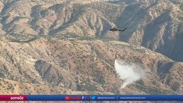 Siirt'te meşelik alanda &ccedil;ıkan yangın kontrol altına alındı