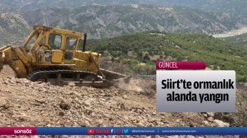 Siirt'te ormanlık alanda &ccedil;ıkan yangın s&ouml;nd&uuml;r&uuml;ld&uuml;