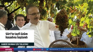 Siirt'te tayfi &uuml;z&uuml;m hasadına başlandı