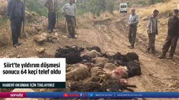 Siirt'te yıldırım d&uuml;şmesi sonucu 64 ke&ccedil;i telef oldu