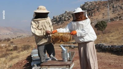 Siirtli gen&ccedil; kız, arıcılıkta kendi kovanlarını kurdu