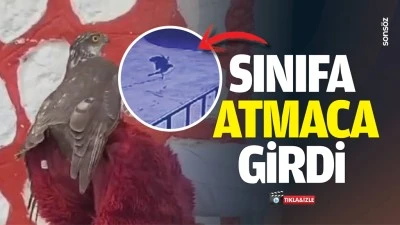 Sınıfa atmaca girdi