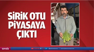 Sirik otu, piyasaya &ccedil;ıktı