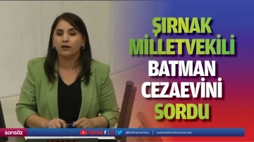 Şırnak Milletvekili, Batman Cezaevini sordu