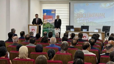 Şırnak'ta, "G&uuml;&ccedil;l&uuml;konak'ta Sağlık Turizmi &Ccedil;alıştayı" d&uuml;zenlendi