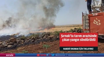 Şırnak'ta tarım arazisinde &ccedil;ıkan yangın s&ouml;nd&uuml;r&uuml;ld&uuml;