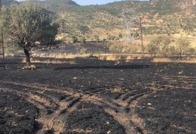 Şırnak'ta yaklaşık 50 d&ouml;n&uuml;m buğday ekili alan yandı