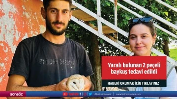 Şırnak'ta yaralı bulunan 2 pe&ccedil;eli baykuş tedavi edildi