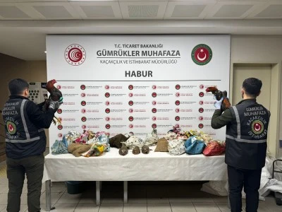 Şırnak'ta yasa dışı yollarla yurda sokulan 38 keklik ve 2 horoz ele ge&ccedil;irildi