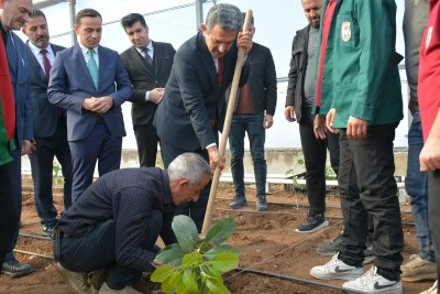 Şırnak Valisi Ekici, &ouml;ğrencilerle tropikal meyve fidesi dikti