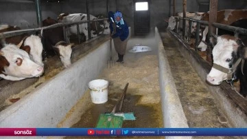 Şırnaklı anne besicilik yaparak 4 &ccedil;ocuğunu okutuyor