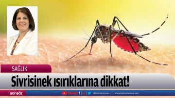 Sivrisinek ısırıklarına dikkat!