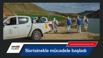 Sivrisinekle m&uuml;cadele başladı