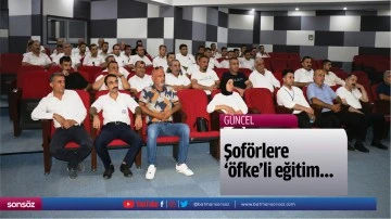 Şof&ouml;rlere &lsquo;&ouml;fke&rsquo;li eğitim&hellip;