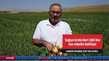 Soğan &uuml;reticileri 500 bin ton rekolte bekliyor