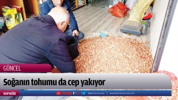 Soğanın tohumu da cep yakıyor