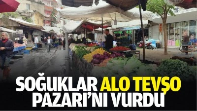 Soğuklar Alo Tevşo Pazarı&rsquo;nı vurdu