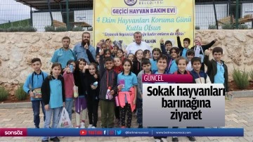 Sokak hayvanları barınağına ziyaret