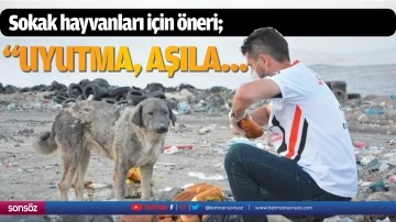 Sokak hayvanları i&ccedil;in &ouml;neri