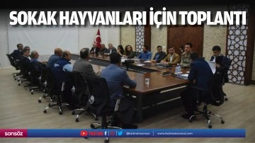 Sokak hayvanları i&ccedil;in toplantı yapıldı