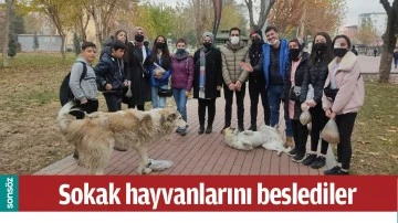 SOKAK HAYVANLARINI BESLEDİLER
