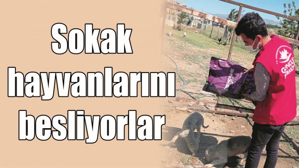 SOKAK HAYVANLARINI BESLİYORLAR
