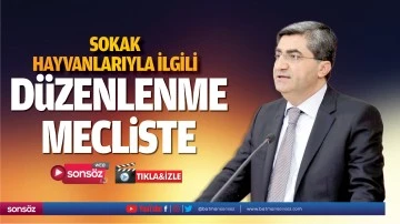 Sokak hayvanlarıyla ilgili d&uuml;zenlenme, mecliste