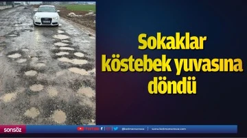 Sokaklar k&ouml;stebek yuvasına d&ouml;nd&uuml;