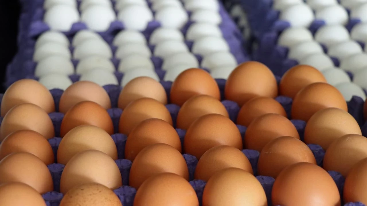 Son kullanma tarihi ge&ccedil;miş 170 koli yumurta ele ge&ccedil;irildi