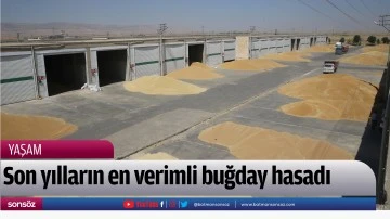 Son yılların en verimli buğday hasadı