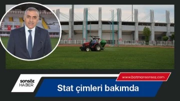 Stat &ccedil;imleri bakımda