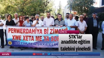 STK&rsquo;lar, anadilde eğitim talebini yineledi
