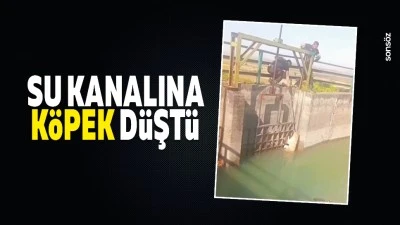Su kanalına k&ouml;pek d&uuml;şt&uuml;